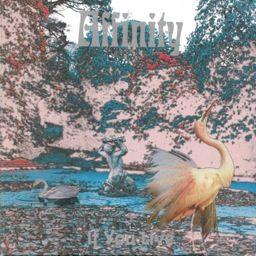 Affinity - If You Live