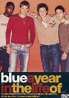 Blue - A year in the life