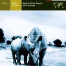 Africa - Sounds Of The Jungle , Plan & Bush