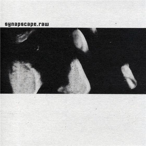 Synapscape - Raw
