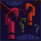 Chameleons - This Never Ending Now