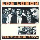 Los Lobos - By The Light Of The Moon