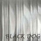 Freedom: Castro & Bresch - Black Dog