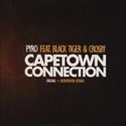 Pyro, Black Tiger & Crosby - Capetown Connection - Vinyl, Fontastix cd 7" Single