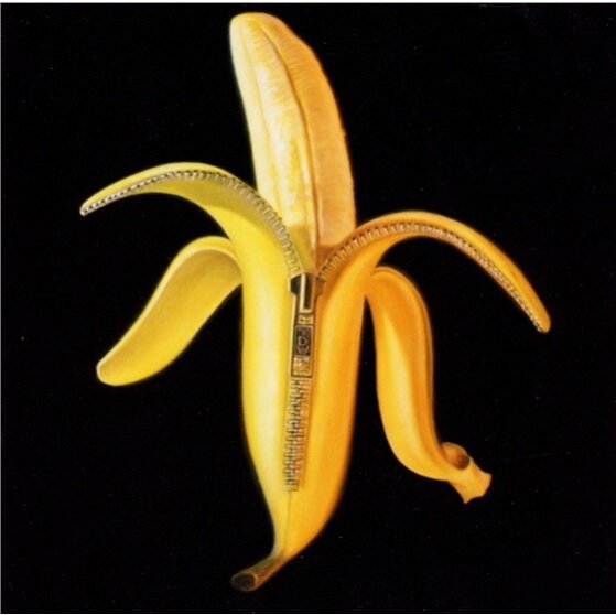 The Dandy Warhols - Welcome To The Monkey House