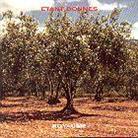 Etant Donnes - Royaume