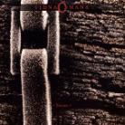 Vidna Obmana - Spore