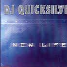 DJ Quicksilver - New Life