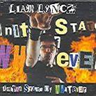 Liam Lynch - United States Of Whatever