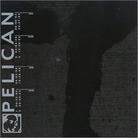 Pelican - --- Mini