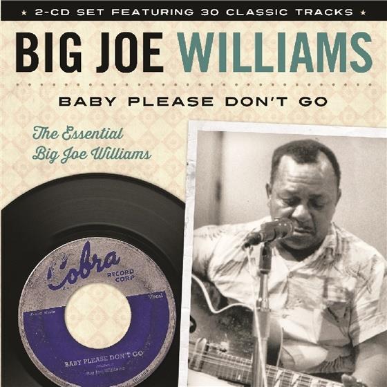 Big Joe Williams - Baby Please Don't Go