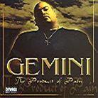 Gemini - Product Of Pain