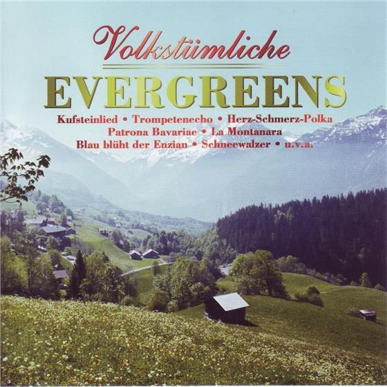 Volkstümliche Evergreens - Various