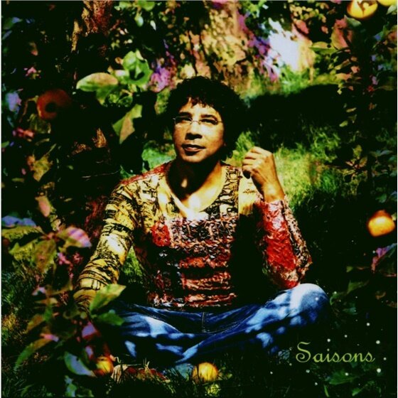 Laurent Voulzy - Saisons - Best Of 2 CD