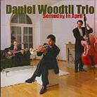Daniel Woodtli - Someday In April