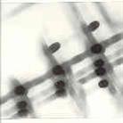 Gregor Samsa - 27:36