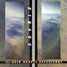 Scenic - Acid Gospel Experience