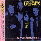 13 Cats - In The Beginning 2