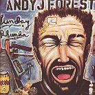 Andy J. Forest - Sunday Rhumba