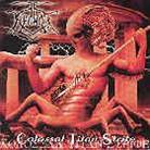 Kronos Quartet - Colossal Titan Strife