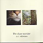 A.C. Newman - Slow Wonder