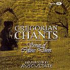 Gregorian Chants - Songs Of Celine Dion