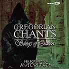Gregorian Chants - Songs Of Queen