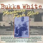Bukka White - Parchman Farm Blues