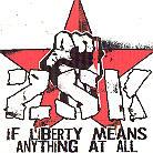 ZSK - If Liberty Means Anything At All