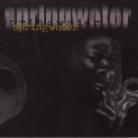 Springwater - Another Trip Inside