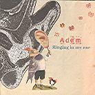 Adem - Ringing In My Ear