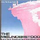Misunderstood - Before The Dream
