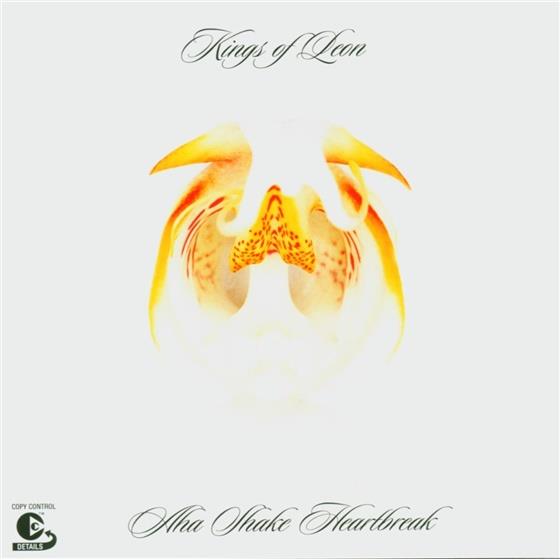 Kings Of Leon - Aha Shake Heartbreak