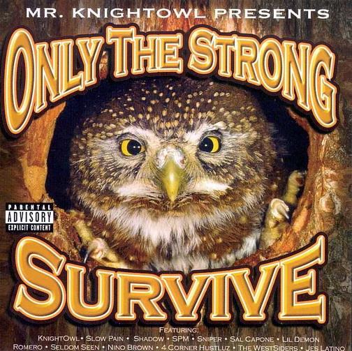 Mr. Knightowl - Only The Strong Survive