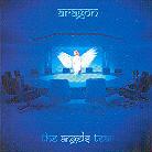 Aragon - Angels Tear