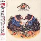 Matching Mole - --- Japan Edition