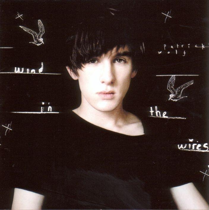 Patrick Wolf - Wind In The Wires