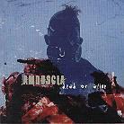 Amduscia - Dead Or Alive