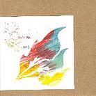 Animal Collective - Campfire Songs