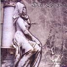Dark Sanctuary - Thoughts: 9 Years In The Sanctuary