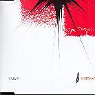 Irrlicht - In Die Nacht