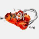 Kash - Herzflut
