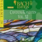 Holland Boys Choir & Johann Sebastian Bach (1685-1750) - Kantaten Vol.11 5 CD