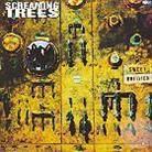 Screaming Trees - Sweet Oblivion
