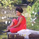Corinne Bailey Rae - Like A Star