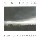 A Witness - I Am John's Pancreas