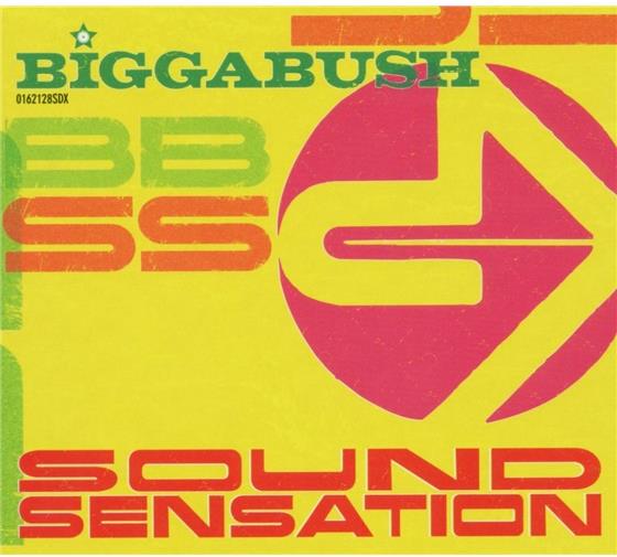 Bigga Bush - Sound Sensation