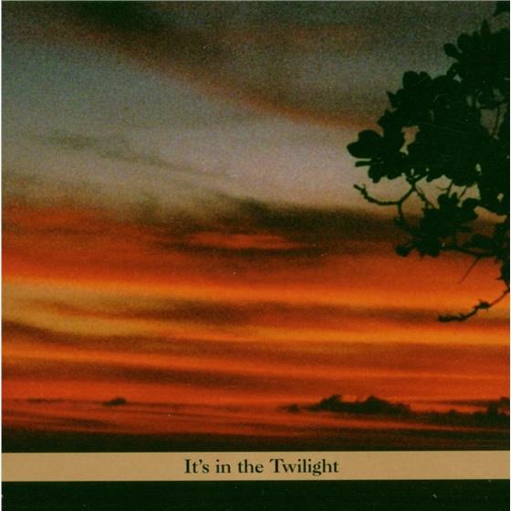 Paul Shapiro - It's In The Twilight