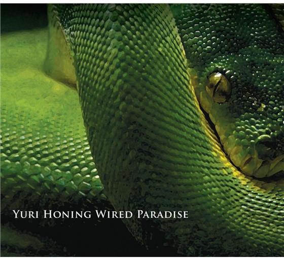 Yuri Honing - Temptation