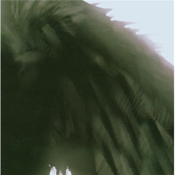 Johannes Heil - Freaks R Us